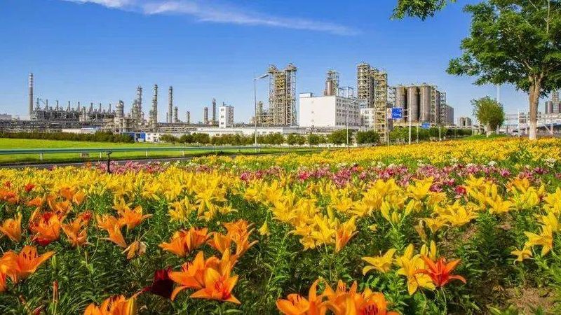 无醛胶粘剂加盟代理条件