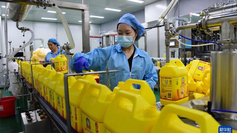 地面胶粘剂施工流程：关键步骤与注意事项**